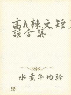 高h辣文短篇小说合集