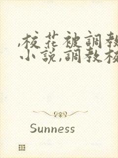 ,校花被调教h小说,调教校花为奴