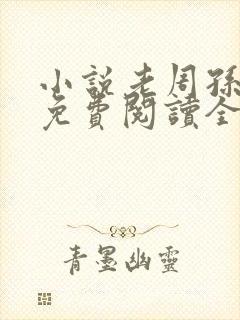 小说老周孙雪倩免费阅读全文封面