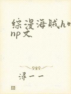 综漫海贼h啪肉np文