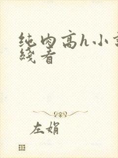 纯肉高h小说在线看封面