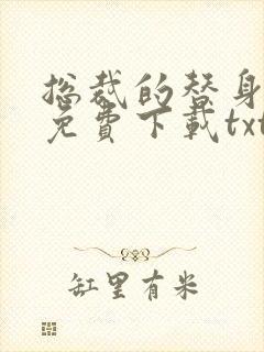 总裁的替身前妻免费下载txt封面