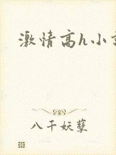 激情高h小说