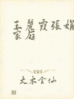 王丽霞张娟乱情家庭封面