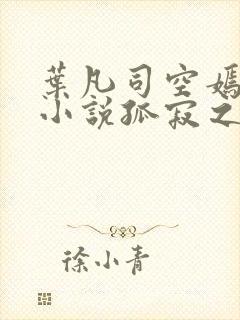 叶凡司空嫣然的小说孤寂之狼