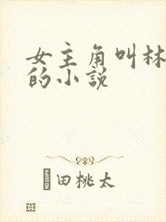 女主角叫林雨薇的小说