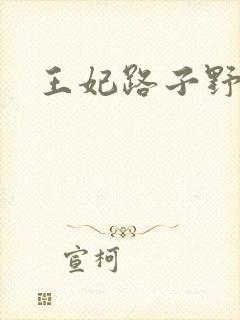 王妃路子野得宠