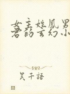 女主姓凤男主姓君的玄幻小说