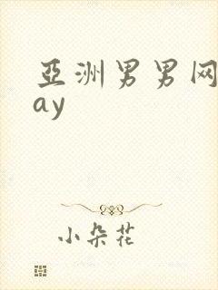 亚洲男男网站gay