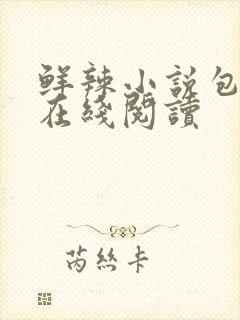 鲜辣小说包书网在线阅读