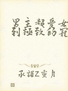 男主超爱女主爱到极致的宠文