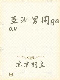 亚洲男同gayav