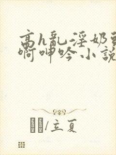 高h乱淫奶头嗯啊呻吟小说h封面