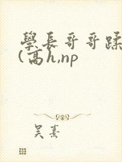 学长哥哥蹂躏你(高h,np