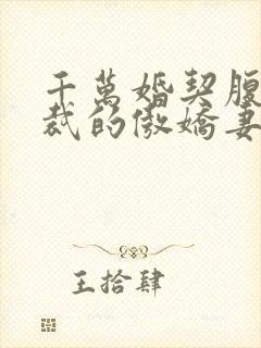 千万婚契腹黑总裁的傲娇妻全文阅读封面