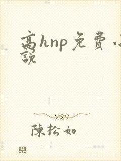 高hnp免费小说