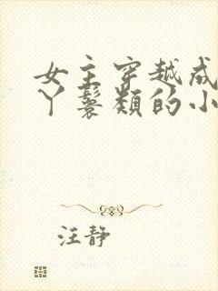 女主穿越成通房丫鬟类的小说