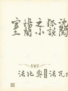 官场之狐沈荡赵玉兰小说阅读全文封面