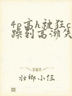 4p高h被狂c躁到高潮失禁小说封面