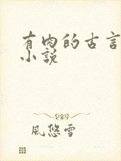 有肉的古言完结小说
