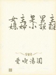 女主是男主的弟媳妇小说推荐封面