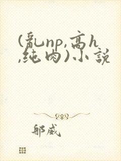 (乱np,高h,纯肉)小说