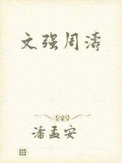 文强周涛