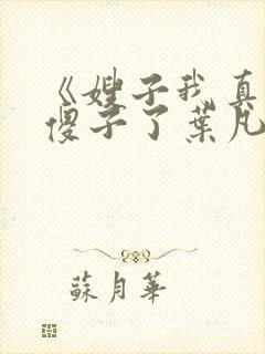 《嫂子我真不是傻子了叶凡》