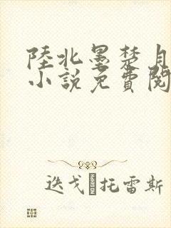 陆北墨楚月离的小说免费阅读无弹窗封面