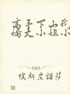 高手下山我的傲娇大小姐小说免费阅读