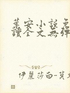 叶安小说免费阅读全文无弹窗