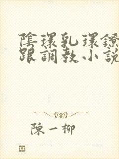 阴环乳环镣铐高跟调教小说封面