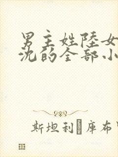 男主姓陆女主姓沈的全部小说