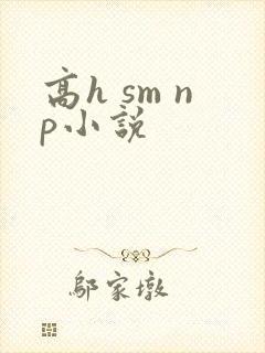高h sm np小说