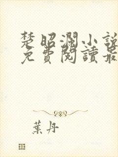 楚昭澜小说全文免费阅读最新章节