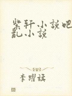 紫轩小说吧母子乱小说封面