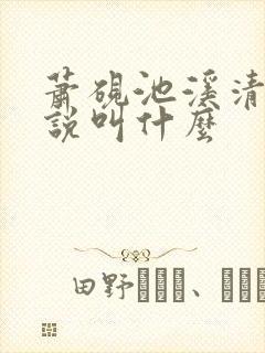 萧砚池溪清梦小说叫什么封面