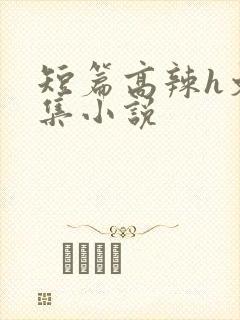短篇高辣h文合集小说封面