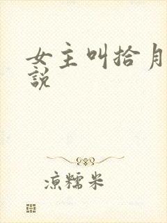 女主叫拾月的小说封面