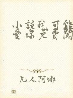 小说我可能不会爱你免费阅读