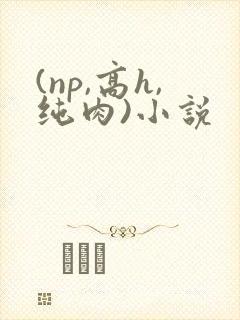 (np,高h,纯肉)小说封面
