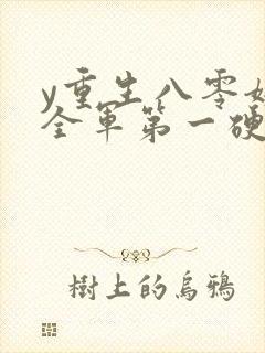y重生八零嫁给全军第一硬汉