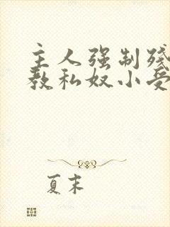 主人强制残忍调教私奴小受小说