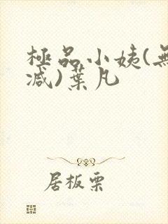 极品小姨(无删减)叶凡