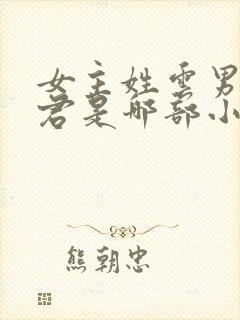 女主姓云男主姓君是哪部小说