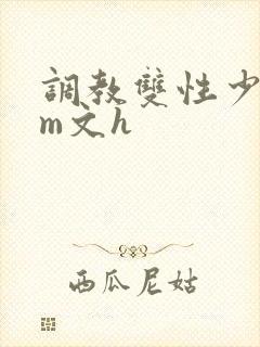 调教双性少年sm文h