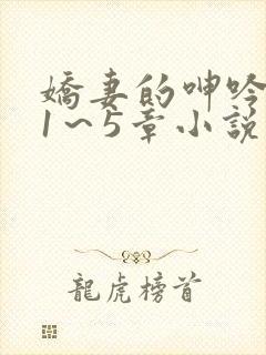 娇妻的呻吟张妍1～5章小说