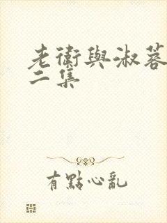 老卫与淑蓉2第二集