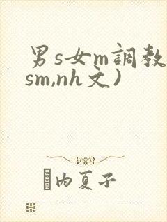 男s女m调教(sm,nh文)