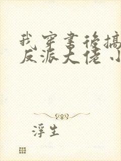 我穿书后搞到了反派大佬 小说